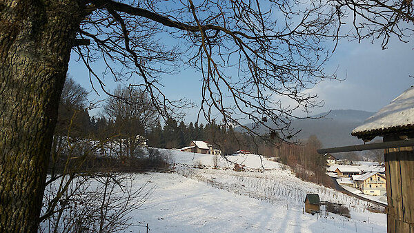 Winterlandschaft im Bayerischen Wald